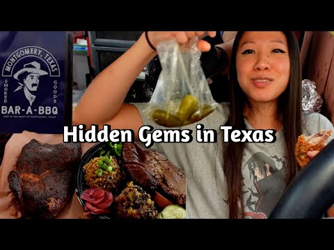 Underrated BBQ and Fried Rice in Surrounding Houston Area!