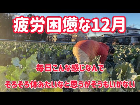 疲労困憊で親知らずと腰がめっちゃ痛い。12月もあと少し皆一緒にもうちょい頑張りましょ