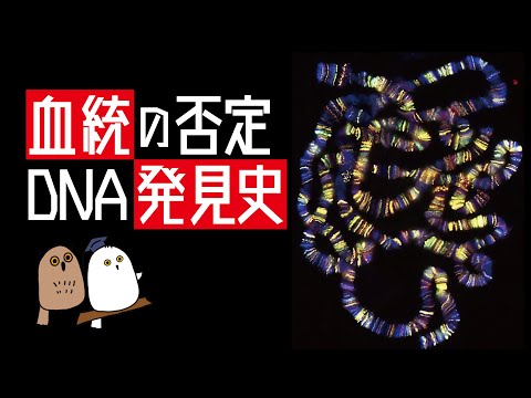 【ゆっくり解説】常識を変えたDNAの発見と歴史：ノーベル賞研究も解説【科学 / 歴史】