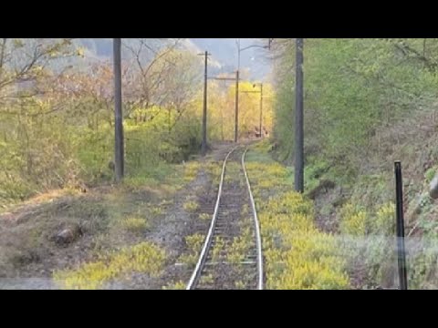 Hidden Japan   88    　線路に花が咲いている立山線　Tateyama Line Flowers on the railroad tracks