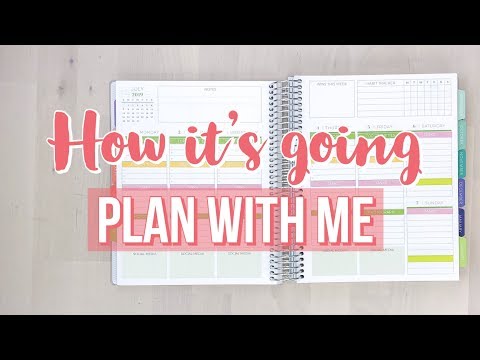 Plum Paper Planner Vertical Priorities - How Its Going So Far