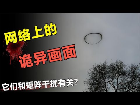 盘点网络上的，离奇画面和诡异生物！它们和矩阵干扰有关？