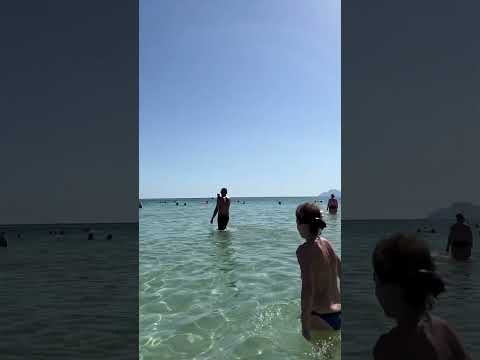 🏝️ Clear water in Mallorca 🏝️ Playa de Muro