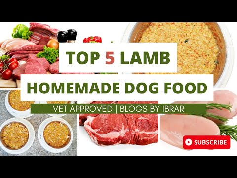 Best 5 Lamb Homemade vet approved Recipes Dog Food | blogsbyibrar