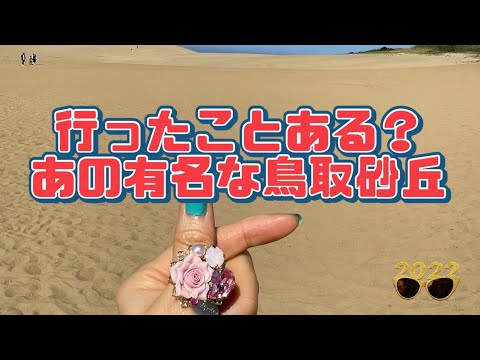 【行った気分】鳥取砂丘 馬の背登り Tottori Sand Dune