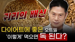 다이어트에 도움되는 오트밀, 귀리 제대로 먹는 방법 ( 이렇게 먹지 않으면 독이 될 수 있습니다)