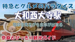 【大和西大寺駅】ポイントの数日本一を誇る平面交差の駅　4方向から絶え間なく電車がやってきます。駅中グルメも充実で皆さん長時間楽しめます。　奈良観光スポットを巡る　奈良とびっきり観光ガイド【奈良観光】