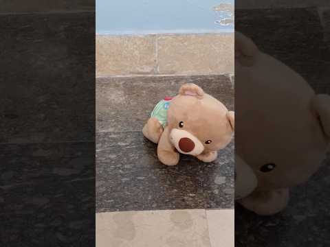 Musical Dog #youtubeshorts #toys #kids #talkingdog