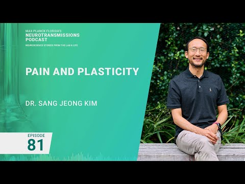 [Audio Only] Podcast Ep. 81 Pain and Plasticity | Sang Jeong Kim