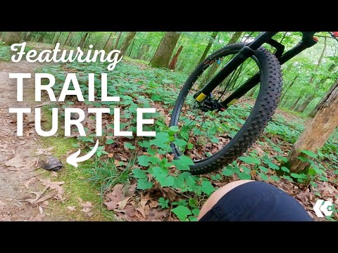 Mountain Bike Trails - Enjoying Some Older Trails Before They Are Gone - Wildwood Park MTB Trails