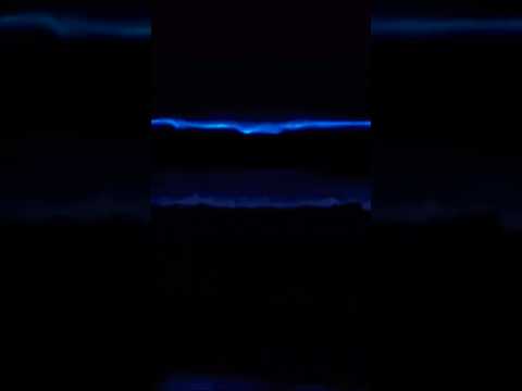 #chennai#bioluminescence #yt #beach #Thiruvanmiyur#shorts #viralshort #trending #nature #tamil#waves