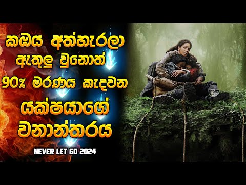 2024 අලුත්ම හොරර් මූවී එකක් 🔥 | Horror movie review in Sinhala | Movie explanation in Sinhala