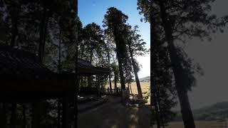 兵庫県加東市山王神社