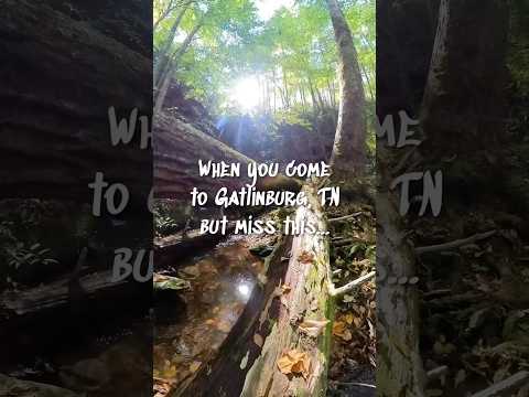 Waterfall Hike Near Sevierville, Townsend and Gatlinburg Tennessee #shorts #waterfall