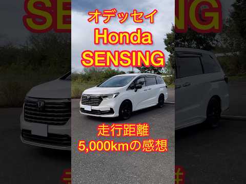 【オデッセイ】Honda SENSINGを5,000km走行した実績から感想を伝えます！ワイドビューカメラ、ソナーセンサー、レーダー探知、ACC、LKASについても触れています。#新型オデッセイ