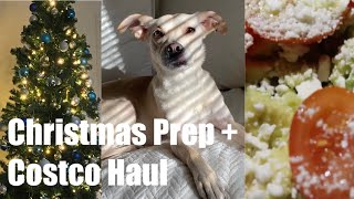 Vlog: Healthy Costco Haul, dog park, decorating for Christmas