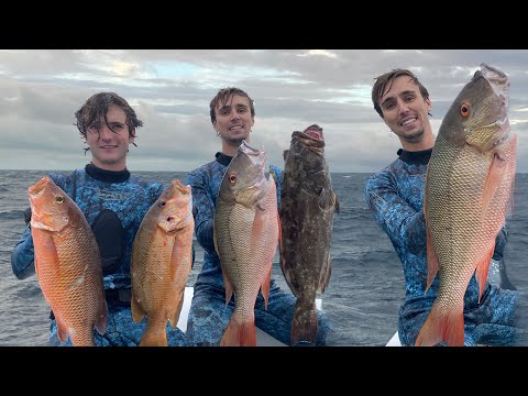 Florida Keys Spearfishing Half Day: Grouper, Muttons, Mangroves and Dog Snapper