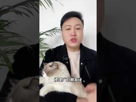 猫咪用尾巴垫脚，不要随便靠。 养猫经验分享 科学养宠攻略 养猫人 新手养猫 喵咪