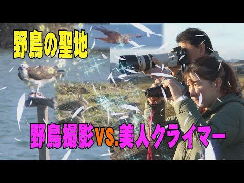 【野鳥撮影】野鳥の聖地　「野鳥撮影VS.美人クライマー」