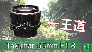 【作例紹介】Takumar 55mm F1.8で撮り歩き【定番レンズ】