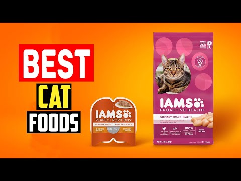 ✅Top 5 Best Cat Foods for Urinary Health in 2024