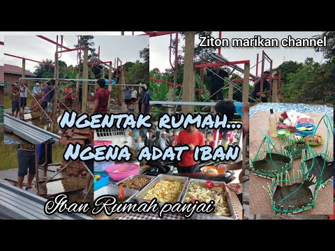 Ngentak rumah ngena adat iban.