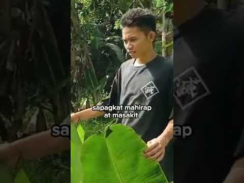 Respect #inspirationtalk#shortsvideo #viralvideo #viral #bohol