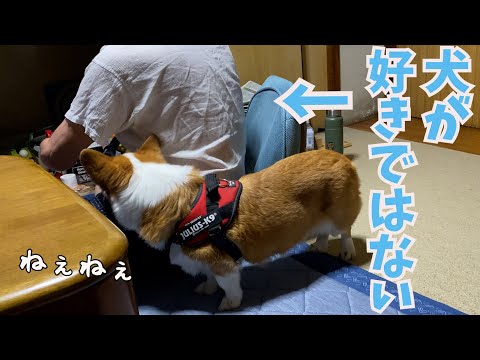 犬が好きじゃない爺と数年ぶりに会うとこうなる