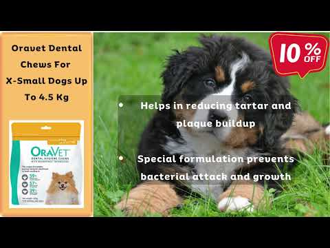 Top Dental Brands for Pets | Pet Dental Month | VetSupply