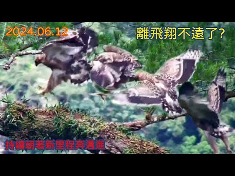 20240612《不停解鎖新技能＆地圖》《牙籤驚魂》《阿爸手空空回家？》《神秘蜥蜴點心》《阿母送餐》