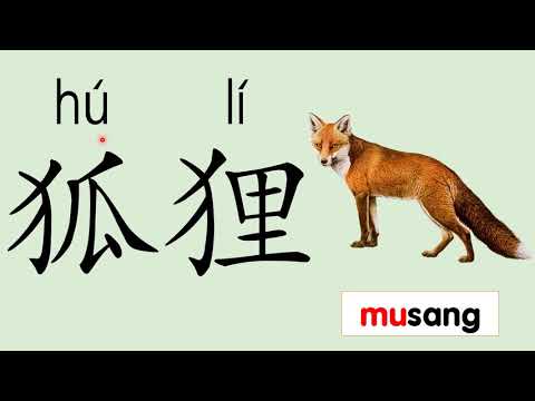 犬部（反犬旁） | 学前教育班Preschool | 学习中文 Learning Chinese