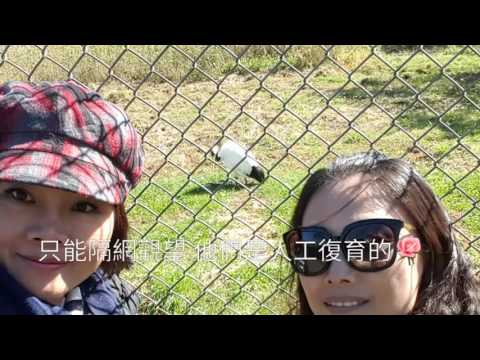 北海道 知床半島 蘇家姐妹