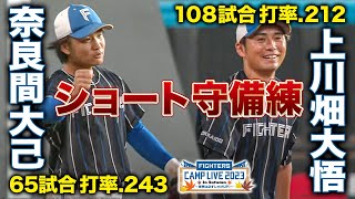 奈良間大己＆上川畑大悟 内野守備＜11/3ファイターズ秋季キャンプ2023＞