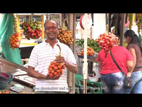 Colombia Ministry of Environment and Sustainable Development - Flora for Fauna