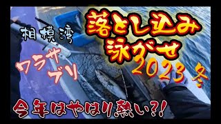 【落とし込み＆泳がせ】1年ぶりの落とし込みは楽しすぎた！！！ 茅ヶ崎港 海成丸