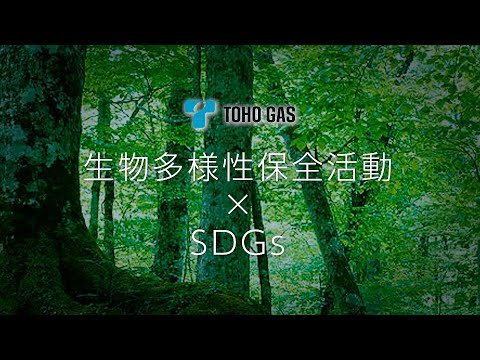 【東邦ガス】生物多様性保全活動× SDGｓ