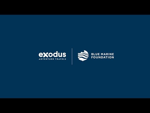 Exodus x Blue Marine Foundation