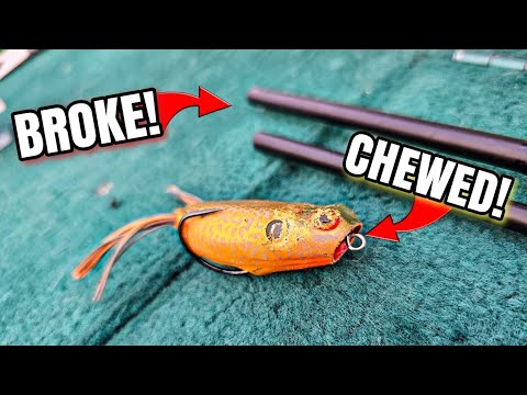 ONE Bag Fishing Challenge (Sad Ending...)