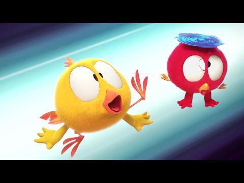 Best Buddies | Where's Chicky? | Cartoon Collection in English for Kids | New episodes HD