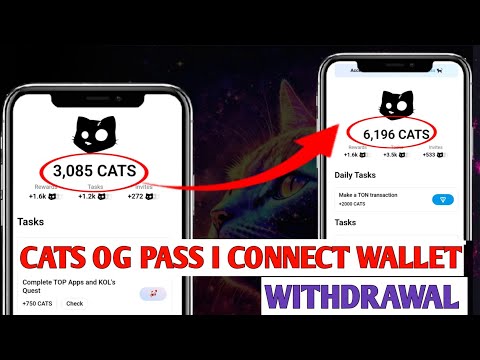 CATS UPDATES: OG PASS || CONNECT WALLET || withdrawal