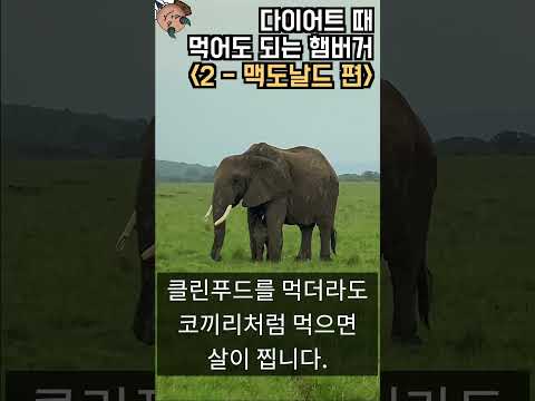 다이어트 때 먹어도 되는 햄버거 - 맥도날드 (2023)