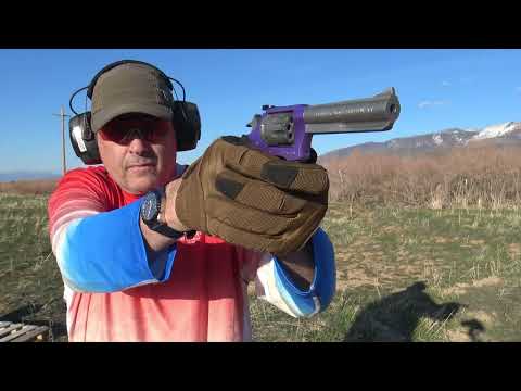 Cheap Fun: Charter Arms Pathfinder .22LR