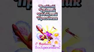 Поздравляю с вербным воскресеньем