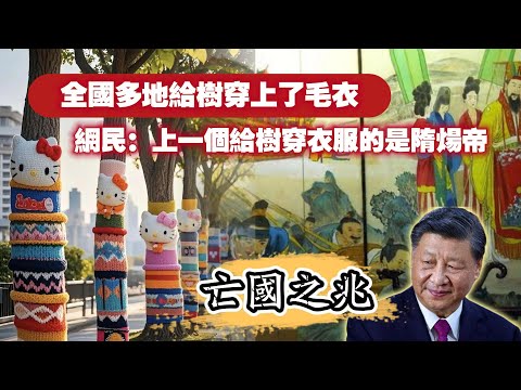 【亡国之兆】全國多地給樹穿上了毛衣。網民：上一個給樹穿衣服的是隋場帝。2024.12.18NO2589