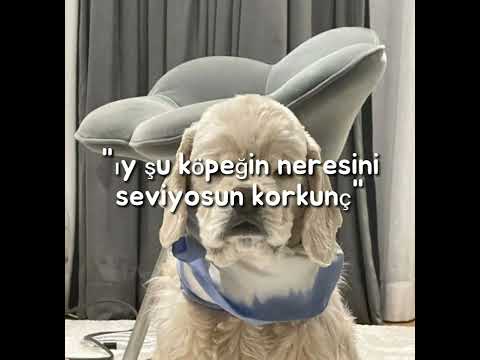 @kapandi00000  soyaa #keşfet #viral #viralvideo #ıtzy  #shorts #viralshorts