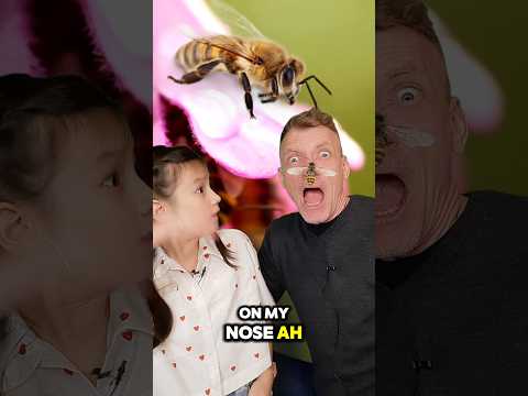 Bees, Nature's Master Communicators | Nature's Wonders | STEM with Ailani's Little World