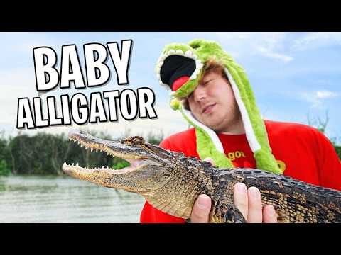 We Found an Alligator Farm!