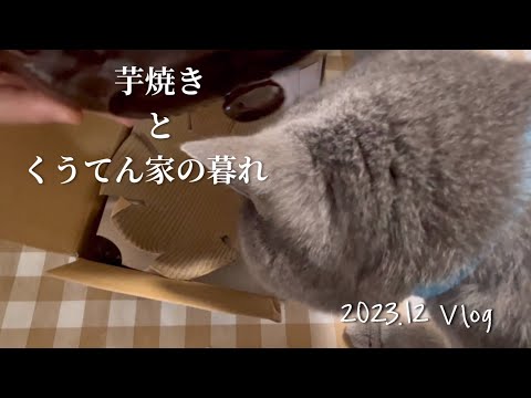 【暮らしvlog】焼き芋が食べたくて買ったもの/40代夫婦/日常/