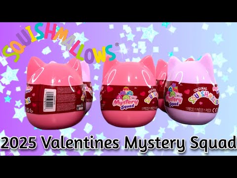 2025 Squishmallows Mystery Squad Valentines Collection | A Fun Selection! | Bored House Flies Review