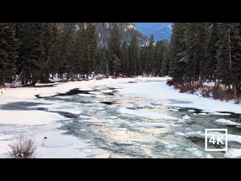 4K Frozen Winter River | Winter Nature Scene | Nature Sounds for Sleep & Study | White Noise